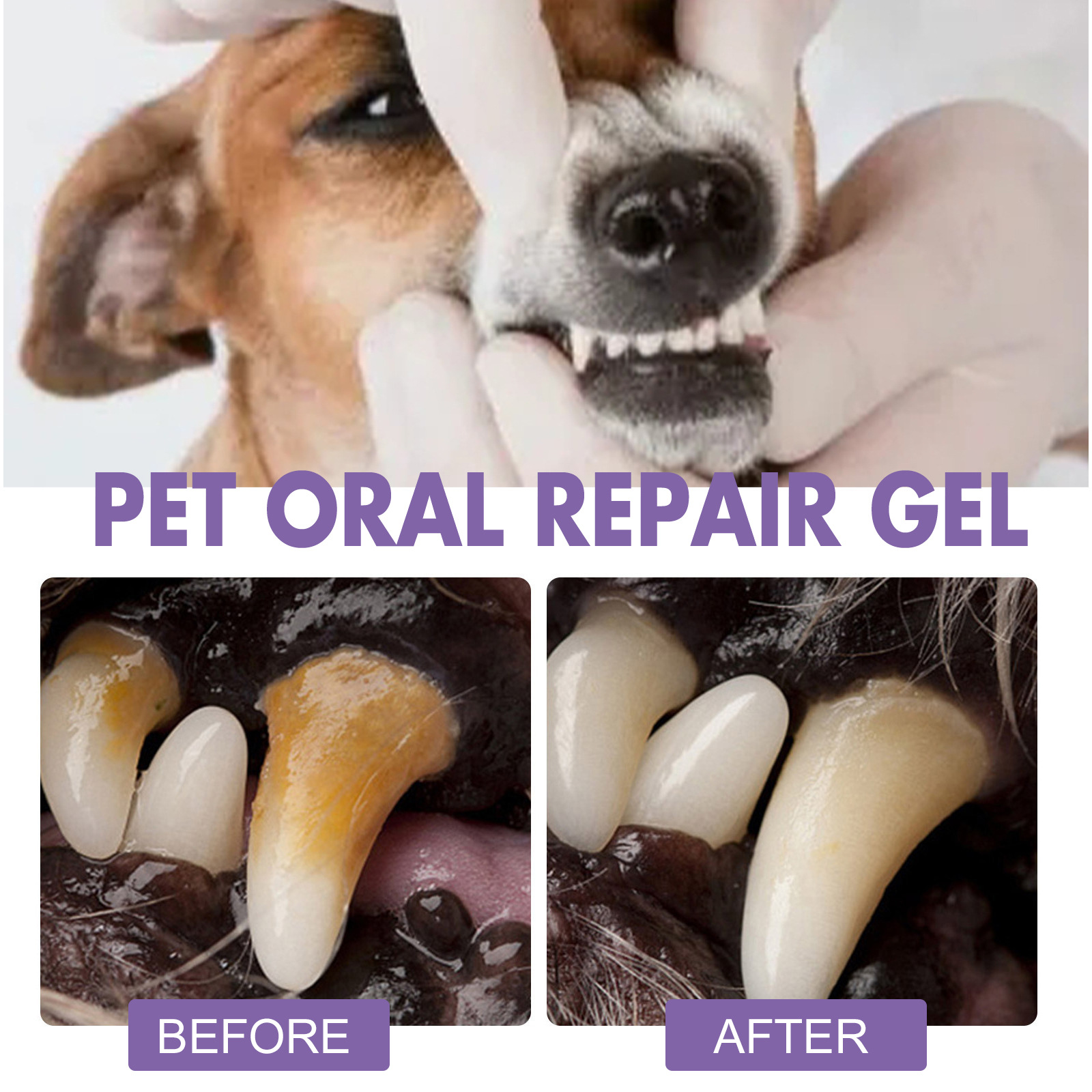 Huisdier Orale Reparatie Gel P - Teeth Whitening Gel recensie en prijs